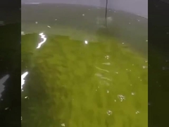 Cảm biến oxy hòa tan quang trực tuyến Cảm biến quang oxy Rs485